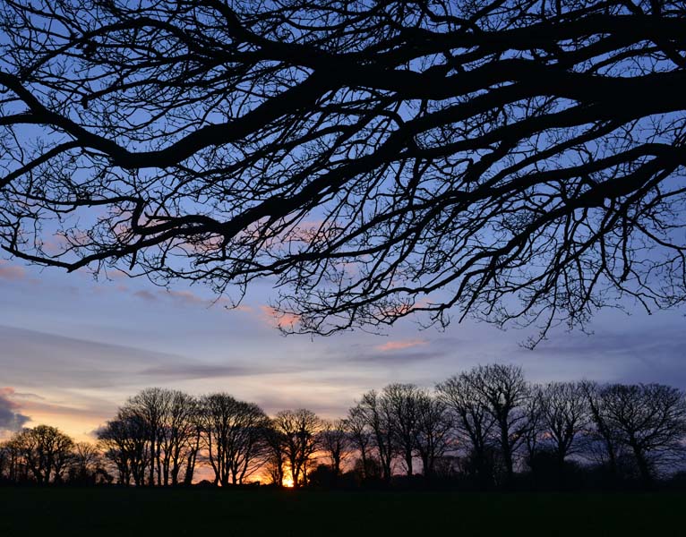 Aylmerton Outdoor Education Centre Norfolk - Residential school visits - Twilight Safari Activity