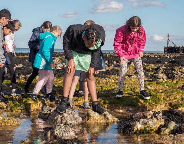 Aylmerton Outdoor Education Centre Norfolk - Activities Rock Pools