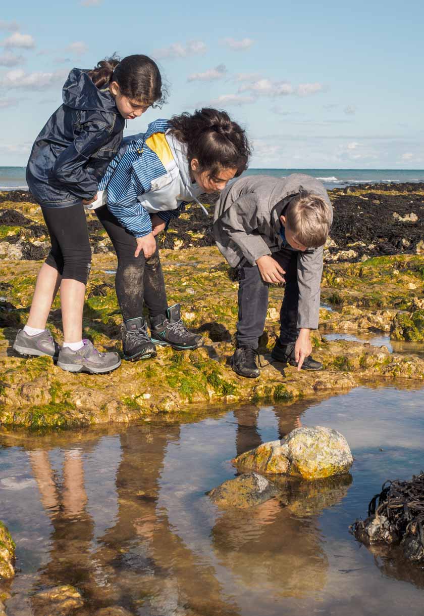 Aylmerton Outdoor Education Centre Norfolk - Rock Pools